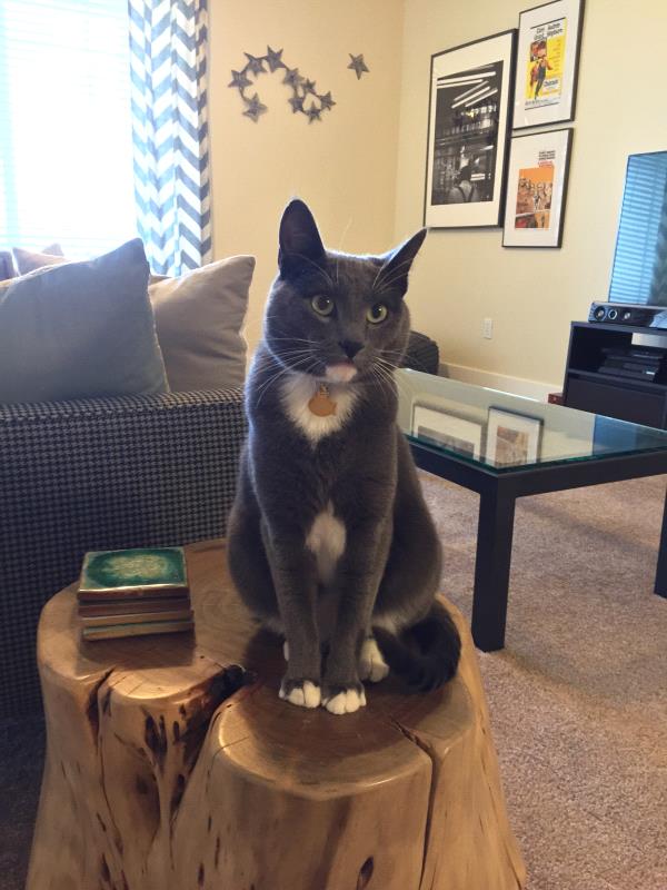 /Images/uploads/Humane Society of Utah/HSUCalendar/entries/1226thumb.jpg